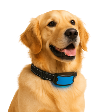 Transform Time With Them Into Stress-Free Moments. The HushPup: